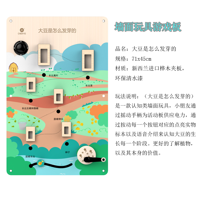 大豆是怎么发芽的